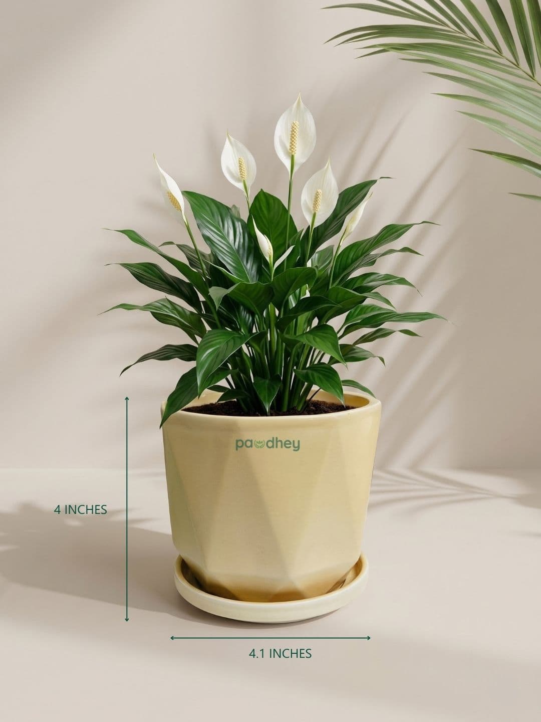 Product thumbnail 4