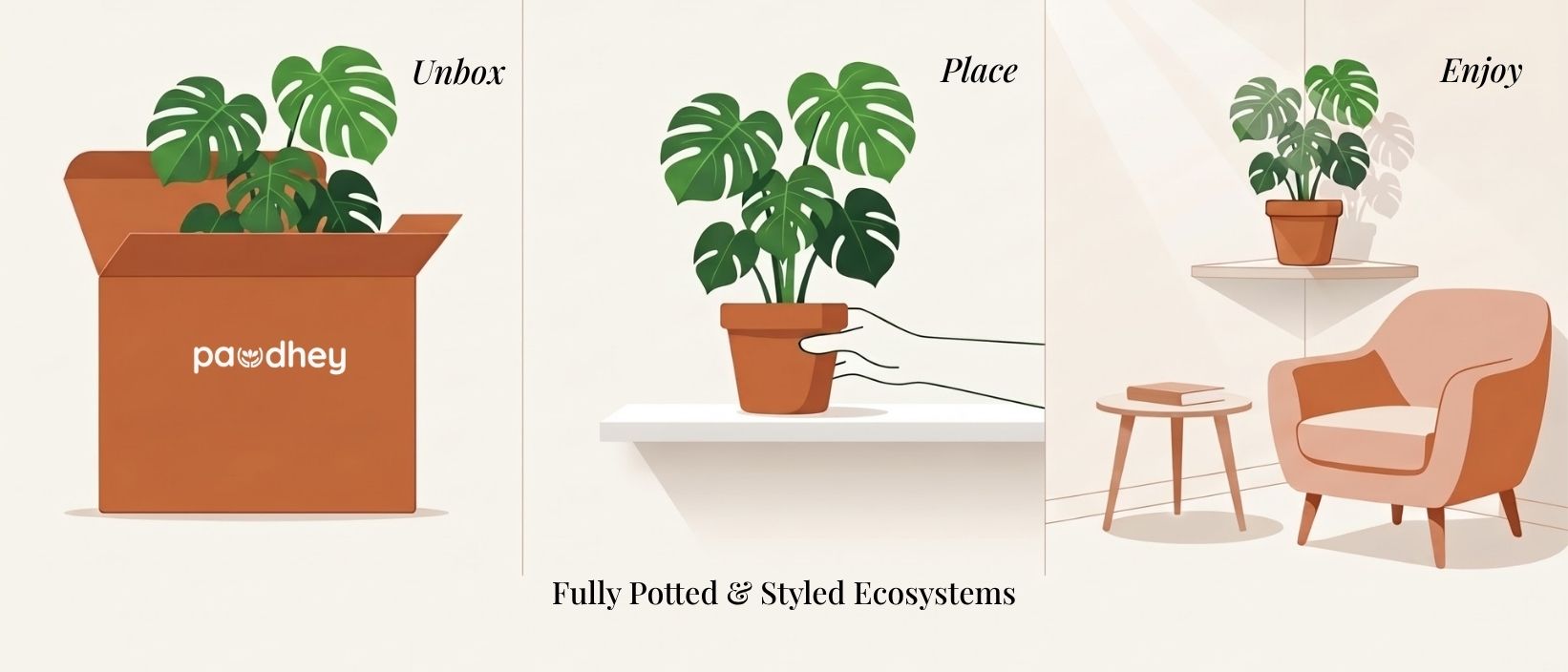 Unbox, place, and enjoy — how a Paudhey order arrives and settles into your space